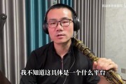 徐静雨评《黑神话》更新：已经等不及了boss连战，有新金箍棒玩就好了